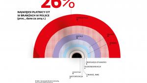 Najwięksi płatnicy CIT w branżach w Polsce