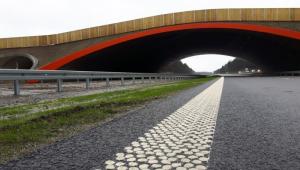 Trasa S7 na odcinku Rychnowo - Olsztynek